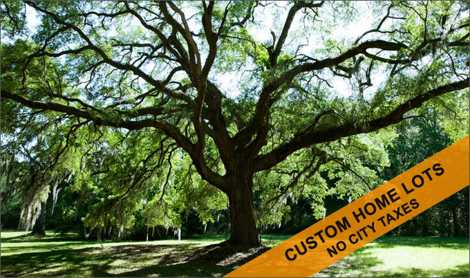 Hill Country Land For Sale TX