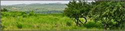 Land For Sale Texas